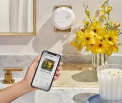 Amalfi Lemon & Mint Refill Duo For Pura Smart Home Fragrance Diffuser -Fragrances Sales NESTNY CORE AML DIF PURA REF 4