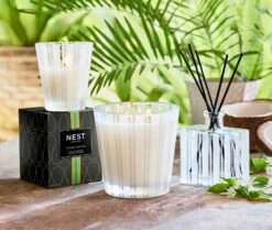 Coconut & Palm Classic Candle -Fragrances Sales NESTNY CORE CPA CAN CL 4