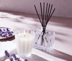 Cedar Leaf & Lavender Reed Diffuser 3 Cedar Leaf & Lavender Reed Diffuser -Fragrances Sales NESTNY CORE CV DIF REED 4