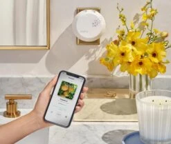 Grapefruit Refill Single For Pura Smart Home Fragrance Diffuser -Fragrances Sales NESTNY CORE GF DIF PURA REF SIN 3