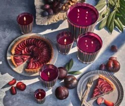 Autumn Plum Luxury Candle -Fragrances Sales NESTNY FF ATP CAN LX 4