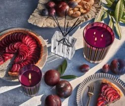 Autumn Plum Reed Diffuser -Fragrances Sales NESTNY FF ATP DIF REED 3