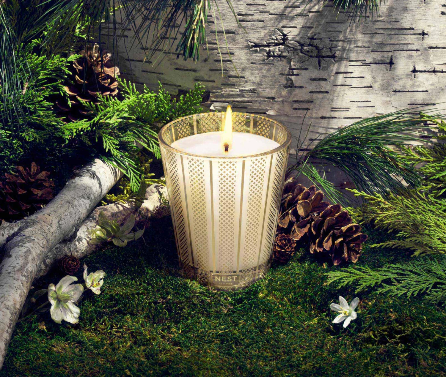 Birchwood Pine Classic Candle Birchwood Pine Classic Candle -Fragrances Sales NESTNY FF BP CAN CL 2