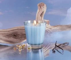Driftwood & Chamomile Classic Candle 2 Driftwood & Chamomile Classic Candle -Fragrances Sales NESTNY WELL DC CAN CL 3