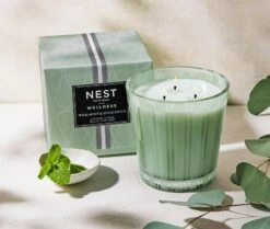 Wild Mint & Eucalyptus 3-Wick Candle -Fragrances Sales NESTNY WELL ECS CAN 3W 3