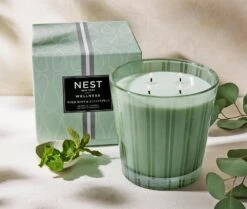 Wild Mint & Eucalyptus Luxury Candle 2 Wild Mint & Eucalyptus Luxury Candle -Fragrances Sales NESTNY WELL ECS CAN LX 3