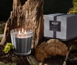 Charcoal Woods 3-Wick Candle -Fragrances Sales NESTNY WILD CW CAN 3W 3