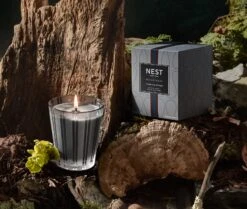 Charcoal Woods Classic Candle -Fragrances Sales NESTNY WILD CW CAN CL 3