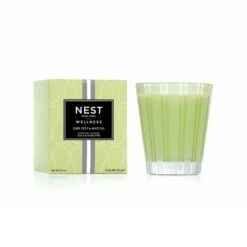 Lime Zest & Matcha Classic Candle